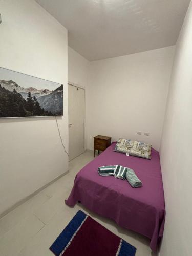 a bedroom with a purple bed and a painting at Testaccio Immobiliare in Rome