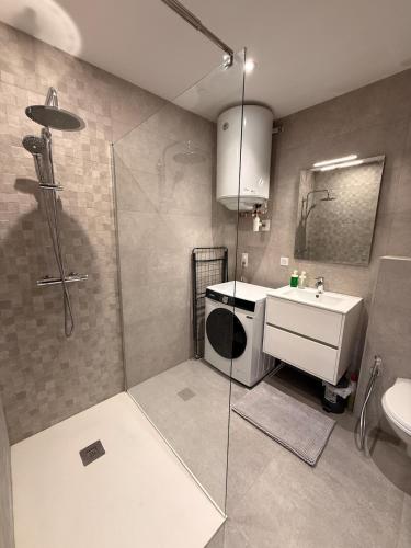 a bathroom with a shower and a sink and a toilet at Vue imprenable - Place de la République in Belfort