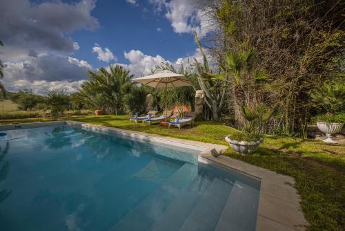 a swimming pool in a yard with a umbrella at Ohorongo Safari Lodge in Kamanjab
