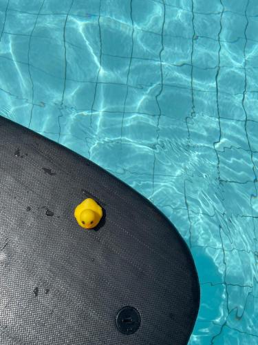 a yellow rubber duck in a swimming pool at Affordable 2BR Near Airport with WiFi, Netflix and Pool in Mactan