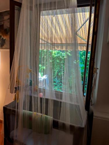 a window with a white curtain in a room at Apt tra arte e natura ingresso indipendente in Florence