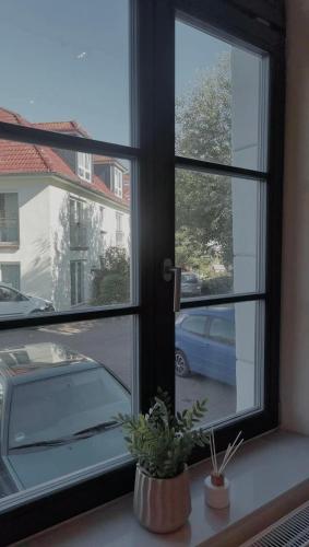 a window with a potted plant on a window sill at FeWo Großes 2 Zimmer Apartment in Berne in Berne