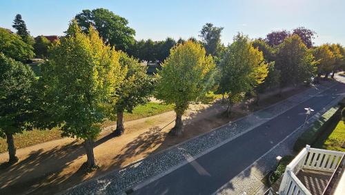 Ferienwohnung Parkblick Nr. 25 photo 16