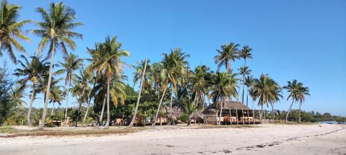 a resort on a beach with palm trees at Silver Fish Resort in Maxixe