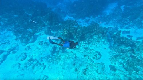 a man is swimming in the blue ocean at The Explorean Cozumel All Inclusive in Cozumel