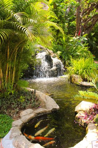 a garden with a pond with a waterfall and a kite in it at Fiesta Americana Puerto Vallarta All Inclusive & Spa in Puerto Vallarta