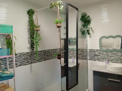 a bathroom with a shower with plants on the wall at La maison multicolore in Livron-sur-Drôme