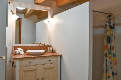 un bagno con lavandino e specchio di Au Pied Du Château - Wifi Parking a Saint-Pierre-dʼAlbigny