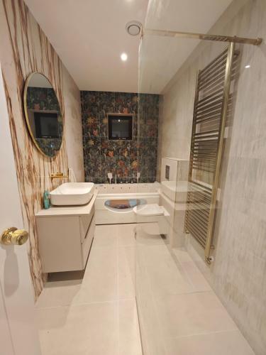 a bathroom with a sink and a toilet and a mirror at Ashwood Stay in Galway