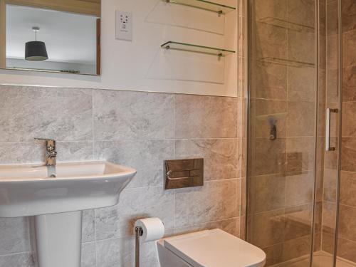 a bathroom with a shower and a sink and a toilet at Burrows Ridge in Appledore