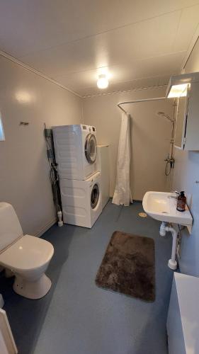 a bathroom with a washing machine and a sink at 4 Bed apartment close to Branäs - Likemovägen 11C in Likenäs