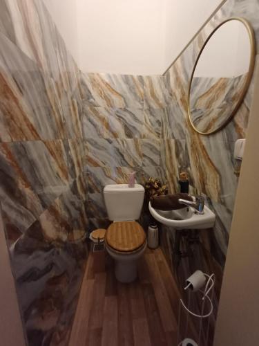 a bathroom with a toilet and a sink and a mirror at Wellness Stodolni Ostrava in Ostrava