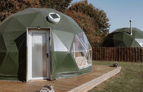 a green tent with a cat sitting in front of it at Star Gazing Dome 1 with cozy log burner in Horspath