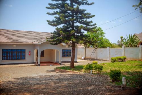 a house with a pine tree in the yard at Sereno Milele in Arusha