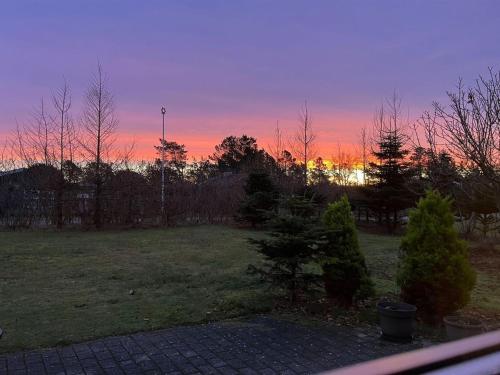 a sunset in a yard with trees and a field at Holiday Home Frido - 500m from the sea by Interhome in Sæby