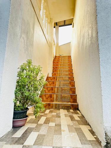Billede fra billedgalleriet på Seaside House i Mirissa