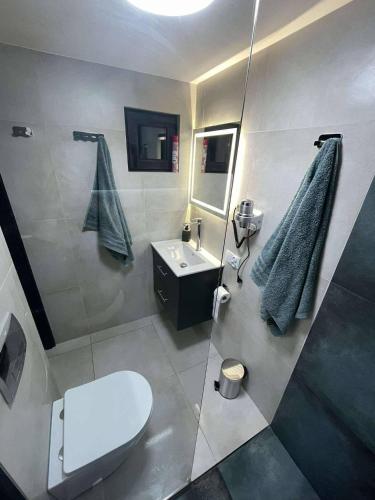 a bathroom with a toilet and a sink and a shower at Brda 5 osobowa z jacuzzi in Zawoja