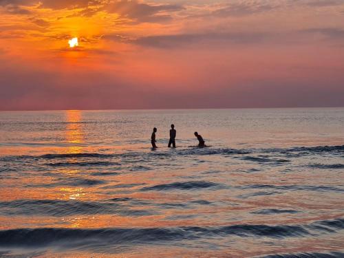 Phong cảnh thiên nhiên gần nhà nghỉ dưỡng