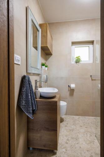 a bathroom with a sink and a toilet at Vila Suncokreti Topola in Topola
