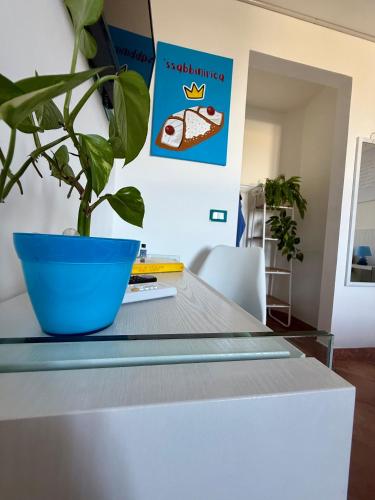 a plant in a blue pot on a table at Villa Demirà - Sky&Pool - Rooms in Marsala