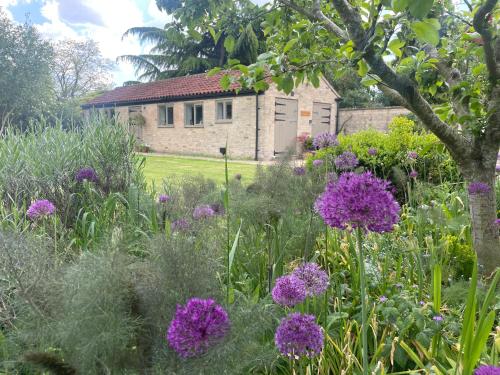 a garden with purple flowers in front of a building at The Old Piggery - tranquil garden guest cottage in Hail Weston