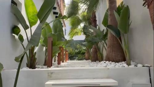 DreamHomesByMaria next to puerto banus photo 11