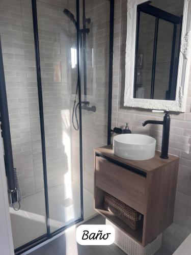 a bathroom with a sink and a shower at Amets in Yesa