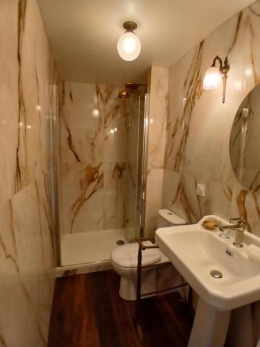 a bathroom with a sink and a toilet and a shower at D OR et D ARGENT in Arceau