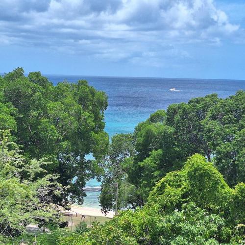 セント・マイケルにあるBattsRock Beach Condos 204の木々と海のあるビーチの景色