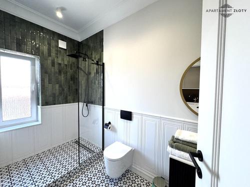 Bilik mandi di Apartamenty Toszeckie LUX