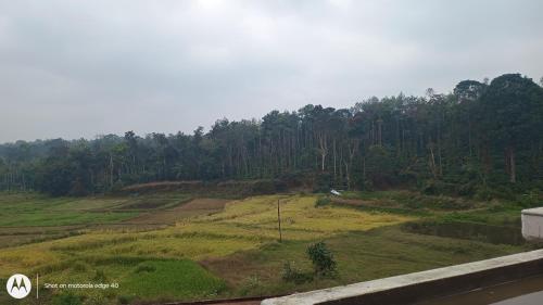 a grassy hill with trees on the side of a road at Nagesh paikera biligeri in Madikeri