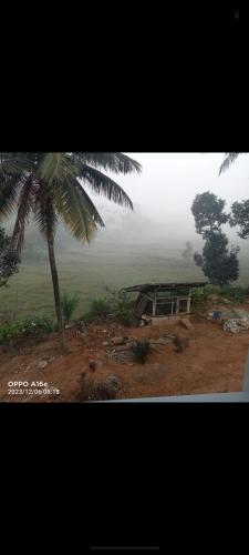 a building on a hill with a palm tree at Nagesh paikera biligeri in Madikeri