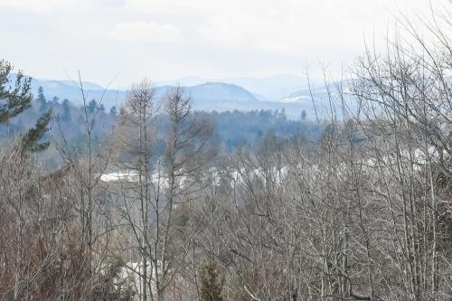 a group of trees with mountains in the background at Chasing the Slopes in North Woodstock