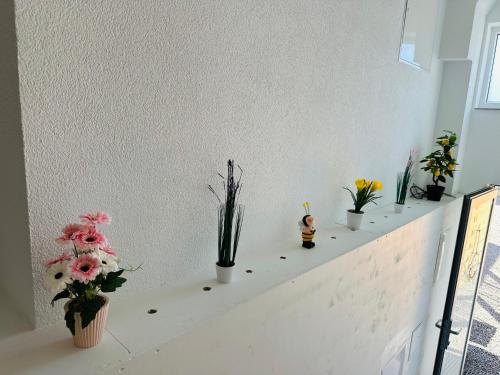 a white shelf with potted plants and flowers on it at KOMFORT FerienWohnung NeuBau Merzig in Merzig