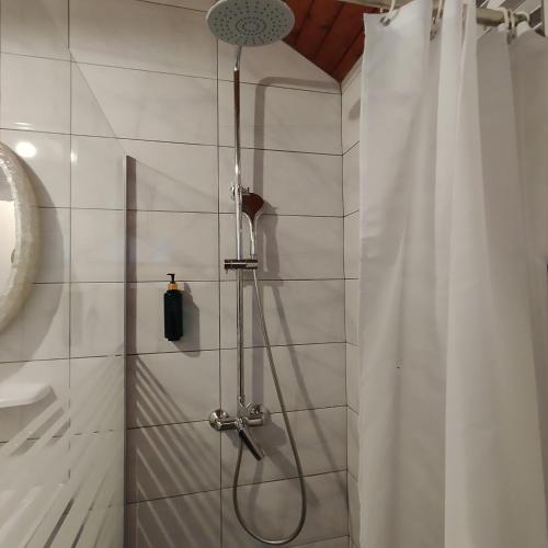 a bathroom with a shower with a shower curtain at Kuća za odmor River House in Batina