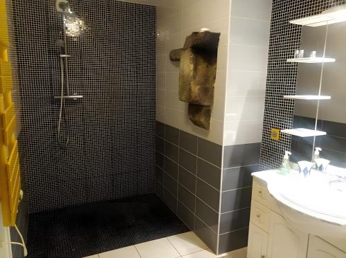 Bilik mandi di Gîtes de Lopéau - jusqu'à 6 invités