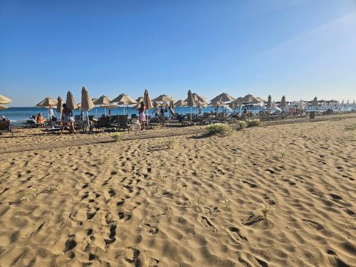 a beach with chairs and umbrellas and the ocean at Апартаменты в комплексах Цезарь Бич и Цезарь Блю in Boğaz