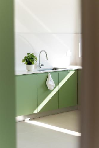 a kitchen with a sink with a plant on it at Casa do Avô in Viana do Castelo