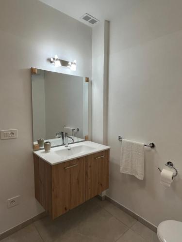 Loft Il Giobertino