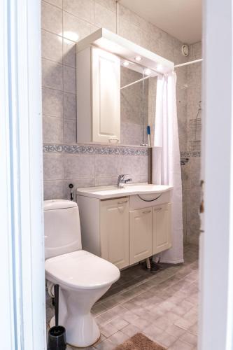 a bathroom with a toilet and a sink and a mirror at Downtown Rovaniemi, Perfect Location in Rovaniemi