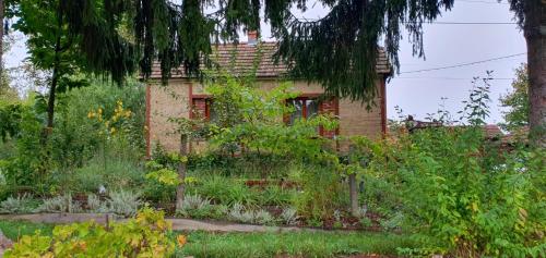 Ruralna kuća za odmor Pozojova hiža - Rural Holiday House