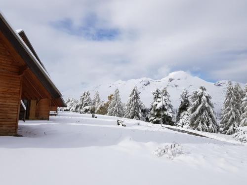 a snow covered mountain with trees and a building at Flocons du Soleil by Actisource in La Joue du Loup