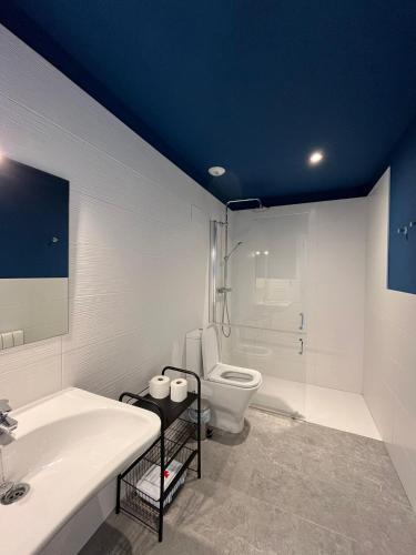 a bathroom with a toilet and a sink at Otero de Campoo Apartamentos in Espinilla