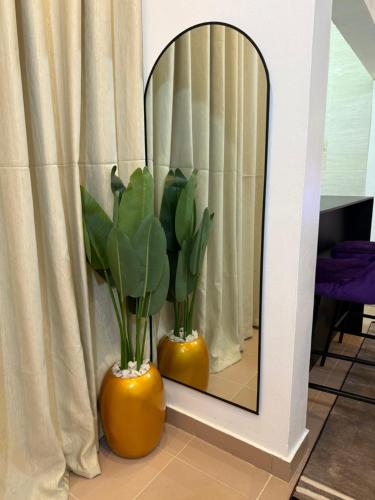 a mirror with two vases with plants in it at Appartement 2 pièces in Agonkamè