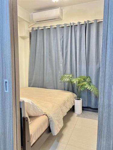 Ce lit se trouve dans un dortoir doté d'une fenêtre avec une plante. dans l'établissement Lanzon Azure Urban Resort Staycation, à Manille