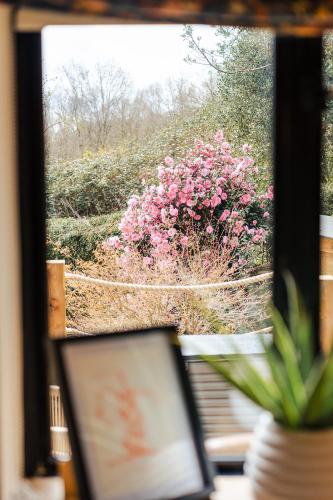 a window with a view of a bush of pink flowers at Ashdown Forest Retreat in Nutley