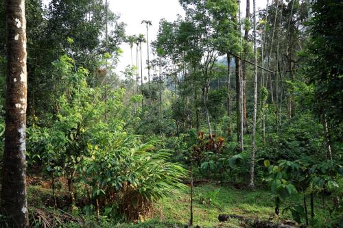 Φυσικό τοπίο κοντά σε αυτό το δωμάτιο σε οικογενειακή κατοικία
