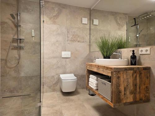 a bathroom with a shower and a toilet and a sink at Ferienwohnung Fichtenzauber mit Balkon, nahe Bikepark & Skipiste in Winterberg