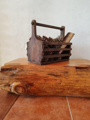 a metal basket sitting on top of a log at Finca Chuchiyá cabañas Tecpan in Tecpán Guatemala