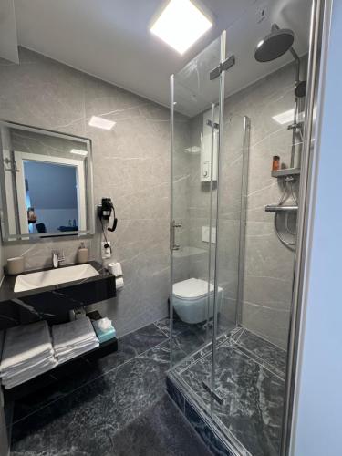 a bathroom with a shower and a sink and a toilet at Deluxe Apartment am Rhein in Bonn